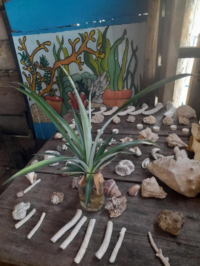 פלאיה בלנקה Mi Cabanita Guest House מראה חיצוני תמונה